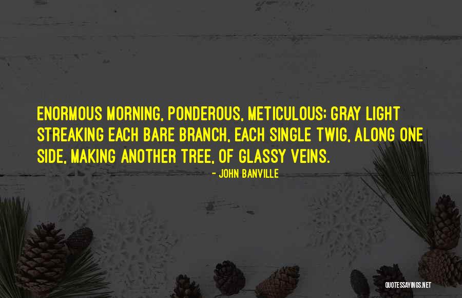 Ponderous Quotes By John Banville