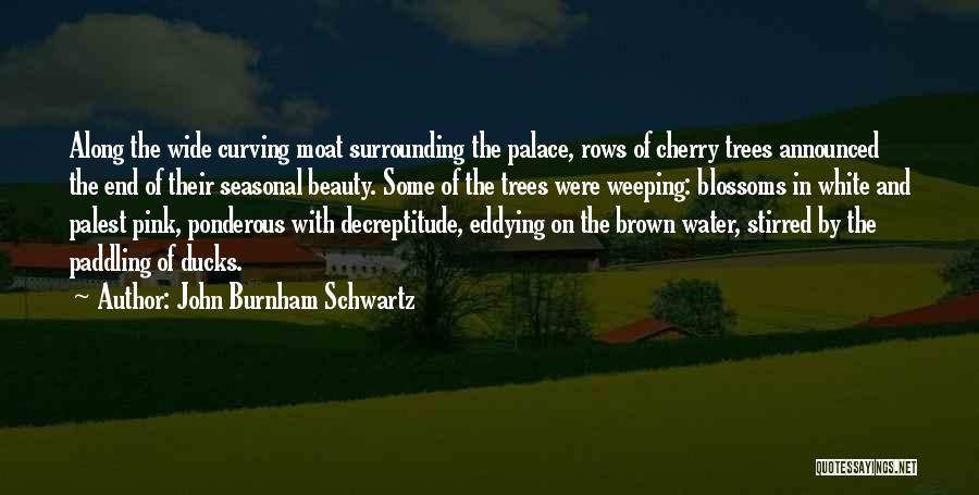 Ponderous Quotes By John Burnham Schwartz