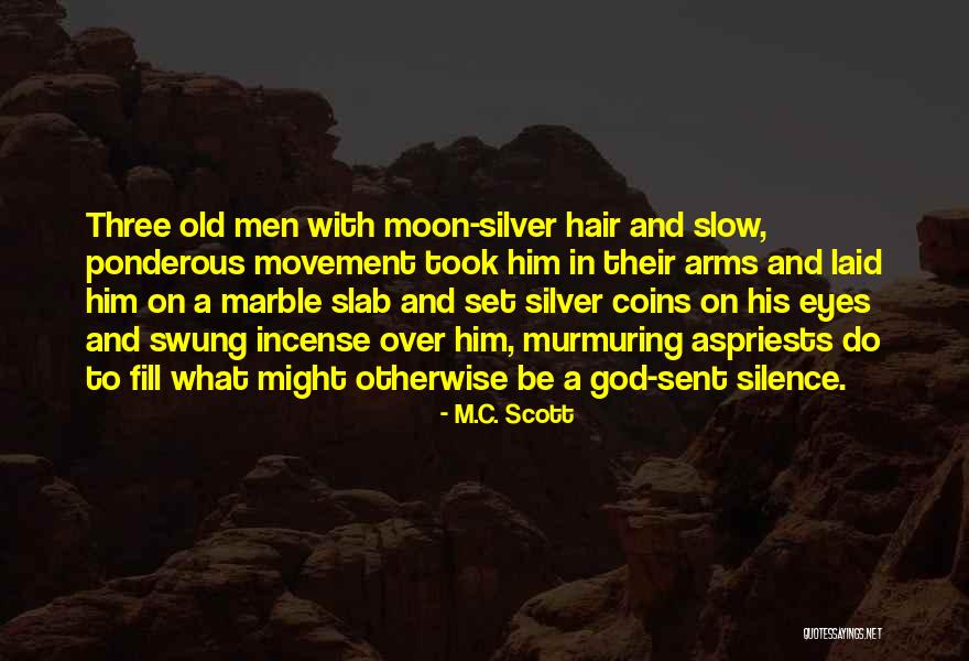 Ponderous Quotes By M.C. Scott