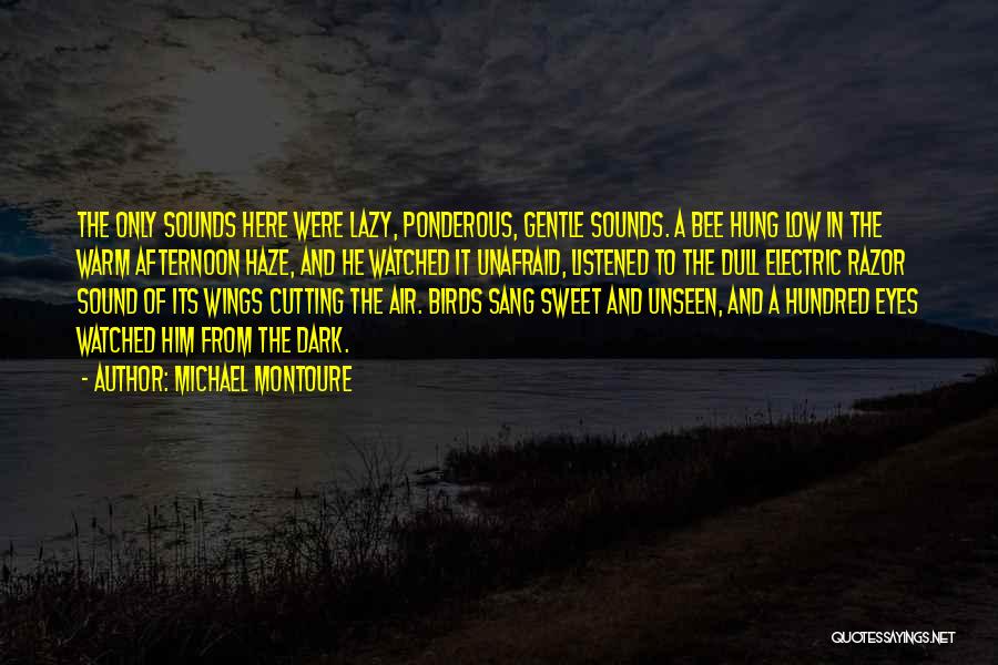 Ponderous Quotes By Michael Montoure