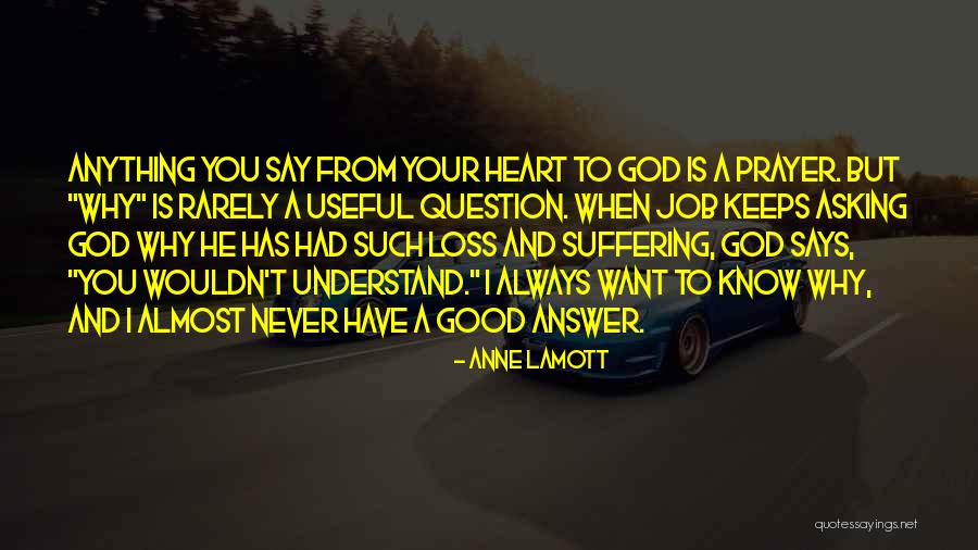 Pondolfino Dentist Quotes By Anne Lamott Pondolfino Dentist Quotes By Anne Lamott