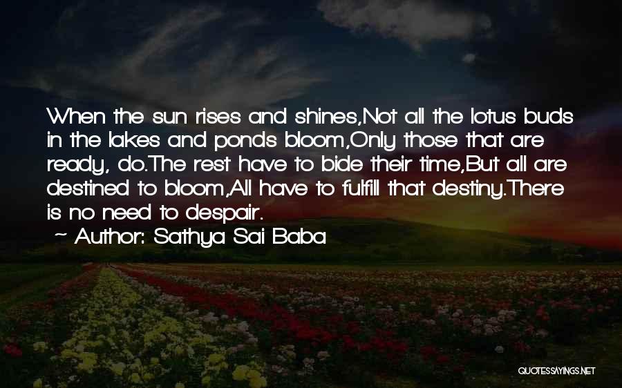 Ponds Quotes By Sathya Sai Baba
