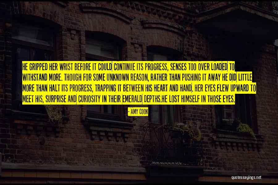 Ponedelin Quotes By Amy Cook