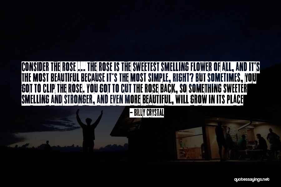 Pongolle Zerozero Quotes By Billy Crystal Pongolle Zerozero Quotes By Billy Crystal