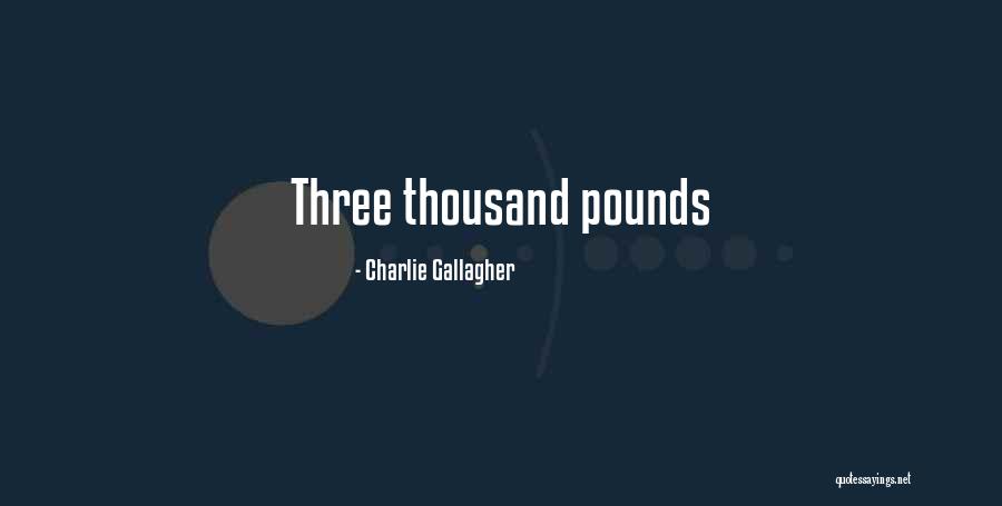 Poniewaz Po Angielsku Quotes By Charlie Gallagher