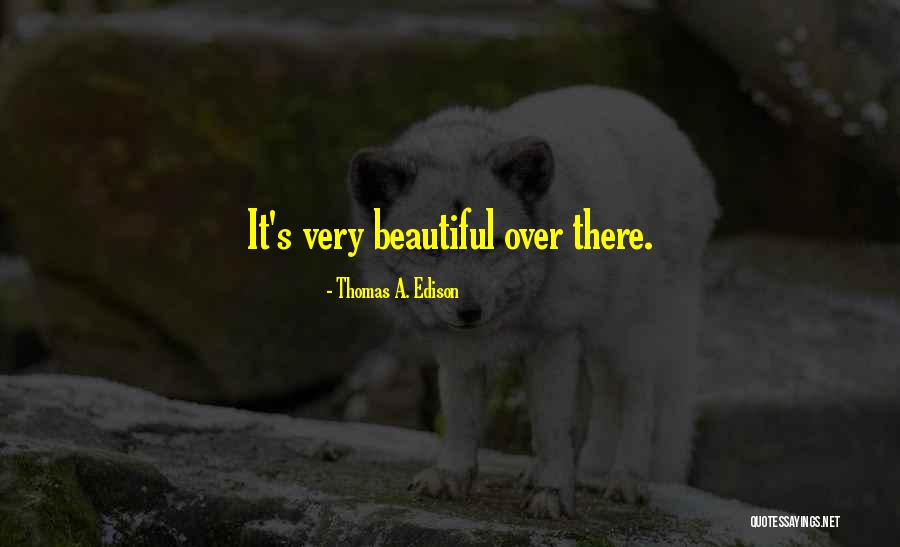 Ponizanie Quotes By Thomas A. Edison Ponizanie Quotes By Thomas A. Edison