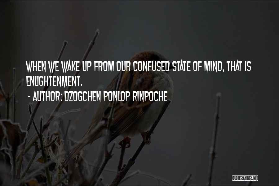 Ponlop Rinpoche Quotes By Dzogchen Ponlop Rinpoche