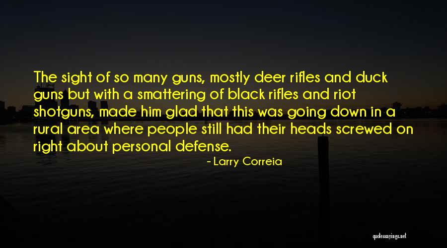 Ponnelle Johnson Quotes By Larry Correia Ponnelle Johnson Quotes By Larry Correia