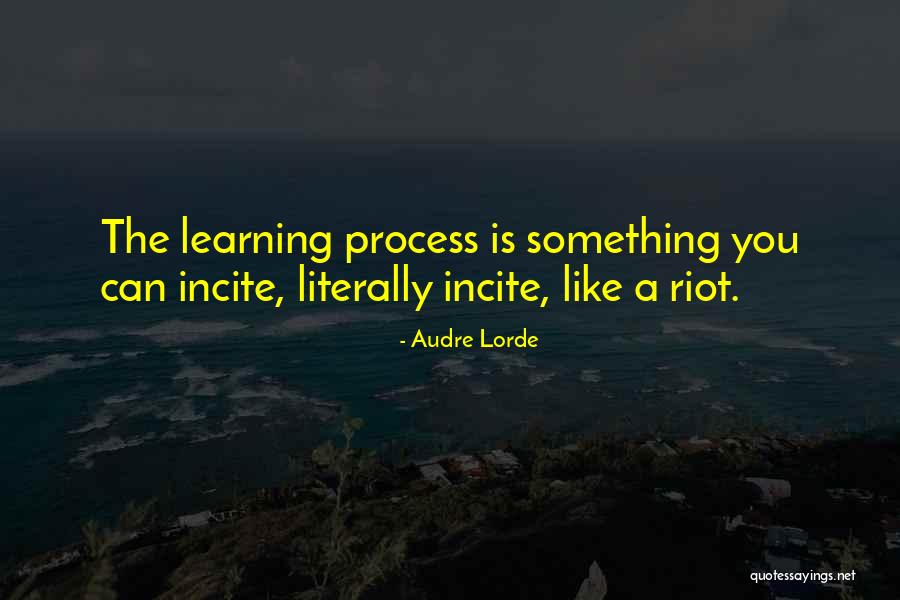 Pontap S Quotes By Audre Lorde Pontap S Quotes By Audre Lorde