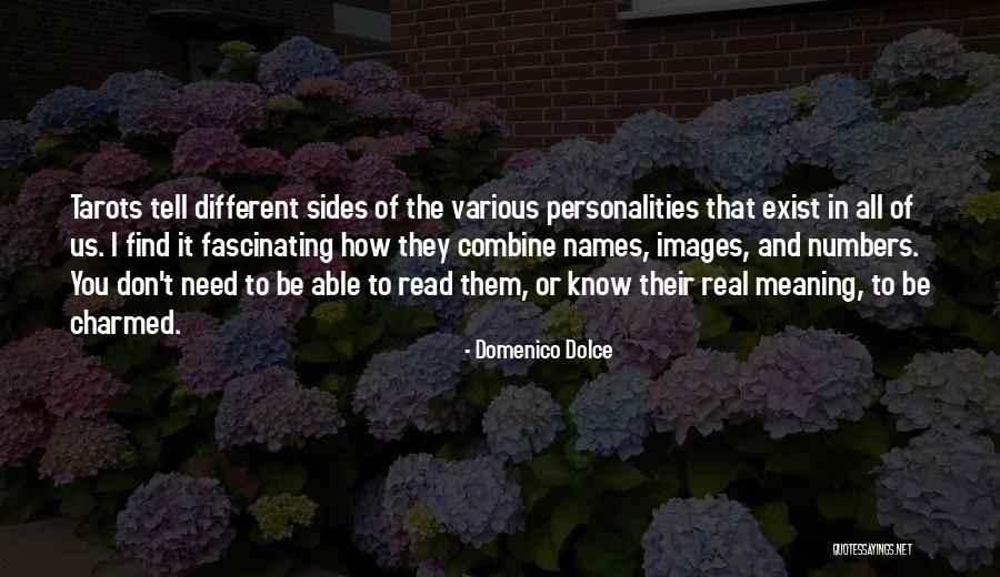 Pontellier Quotes By Domenico Dolce Pontellier Quotes By Domenico Dolce