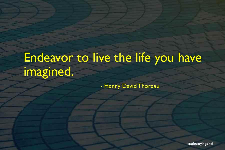 Pontifex Sao Quotes By Henry David Thoreau