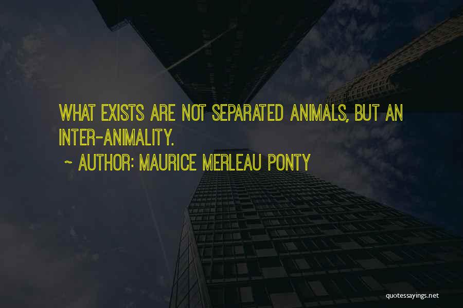 Ponty Quotes By Maurice Merleau Ponty