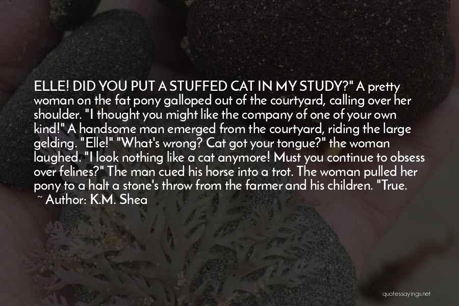 Pony.mov Quotes By K.M. Shea