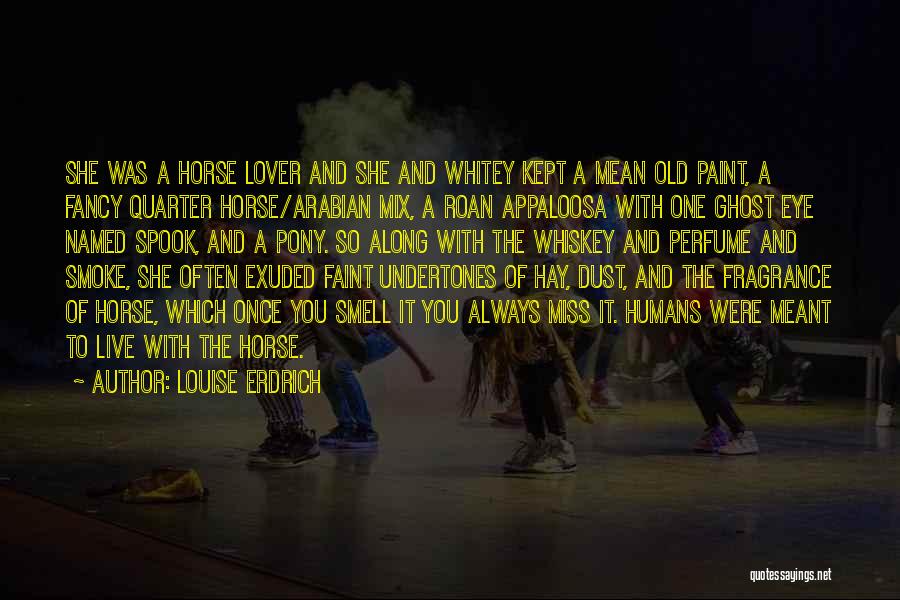 Pony.mov Quotes By Louise Erdrich