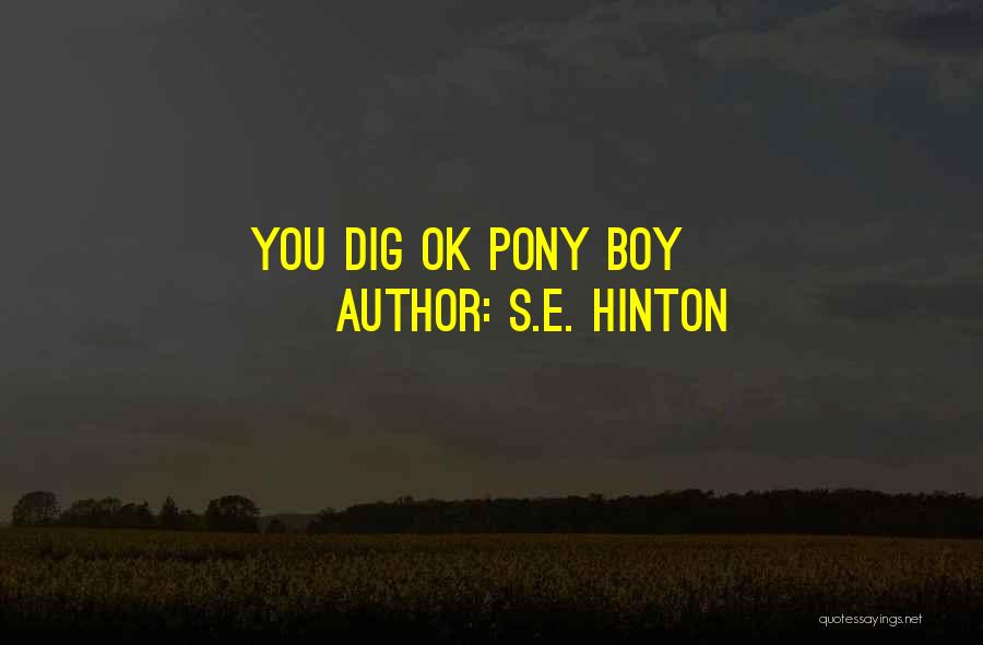 Pony.mov Quotes By S.E. Hinton