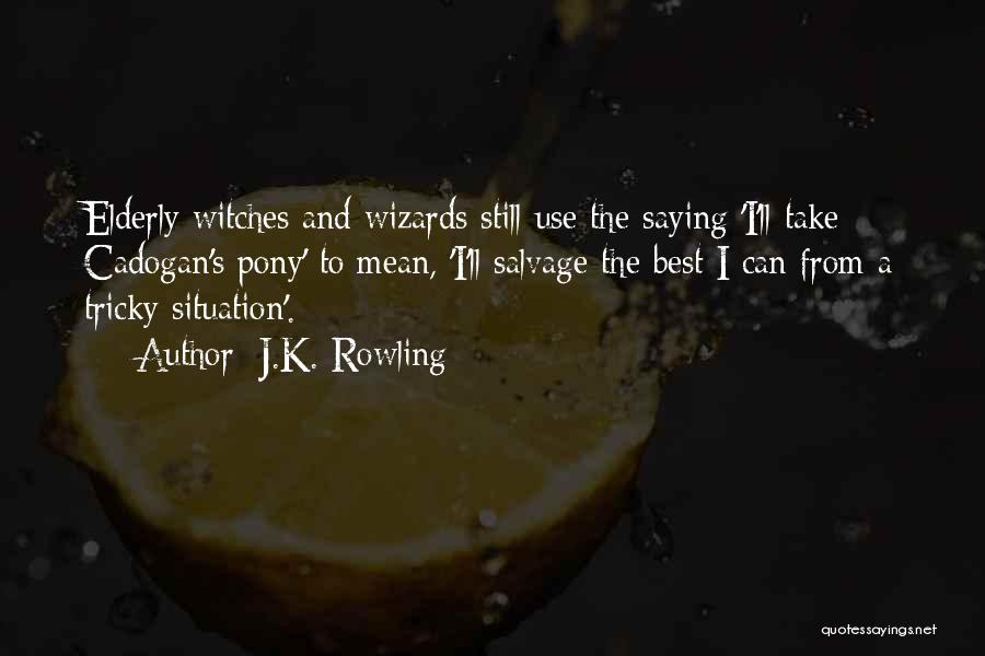 Pony Quotes By J.K. Rowling