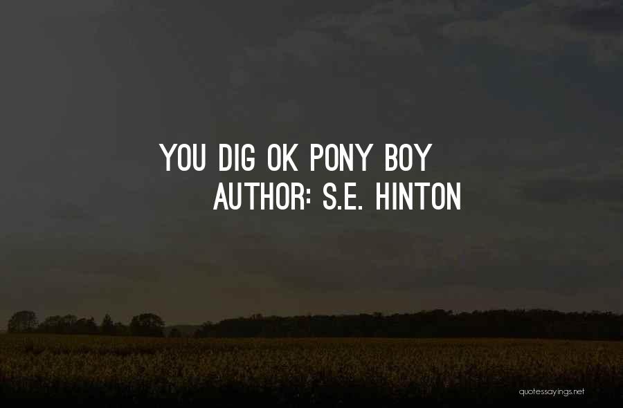 Pony Quotes By S.E. Hinton