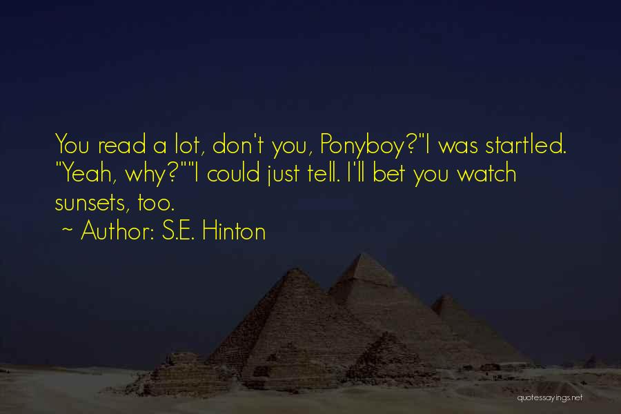 Ponyboy Quotes By S.E. Hinton