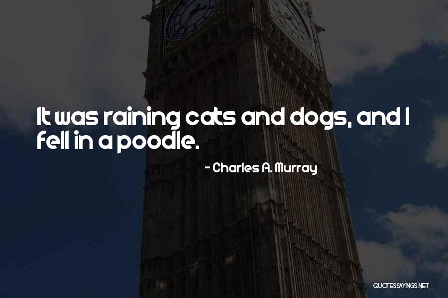 Poodle Dog Quotes By Charles A. Murray Poodle Dog Quotes By Charles A. Murray