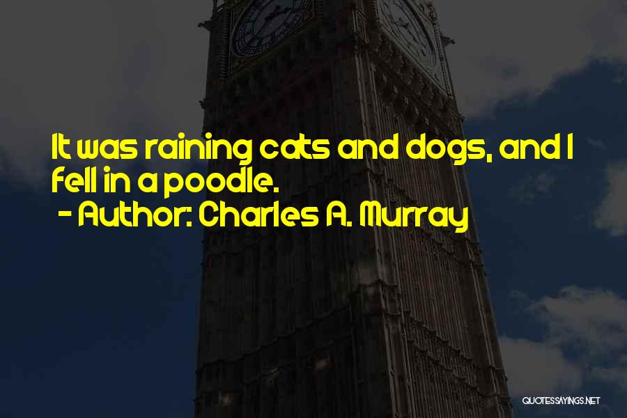 Poodle Quotes By Charles A. Murray
