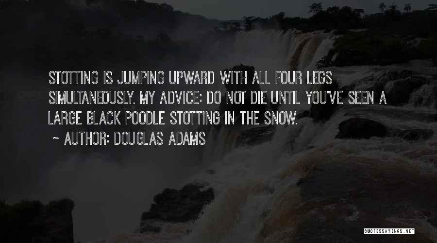 Poodle Quotes By Douglas Adams