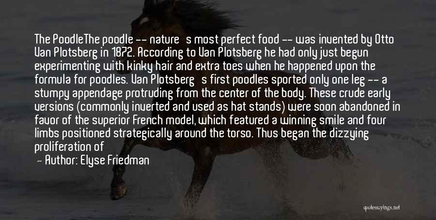 Poodle Quotes By Elyse Friedman