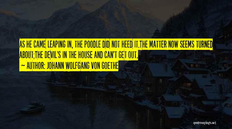 Poodle Quotes By Johann Wolfgang Von Goethe