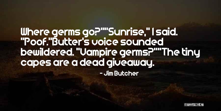 Poof Quotes By Jim Butcher Poof Quotes By Jim Butcher