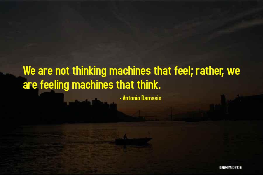 Pooky Lamps Quotes By Antonio Damasio Pooky Lamps Quotes By Antonio Damasio
