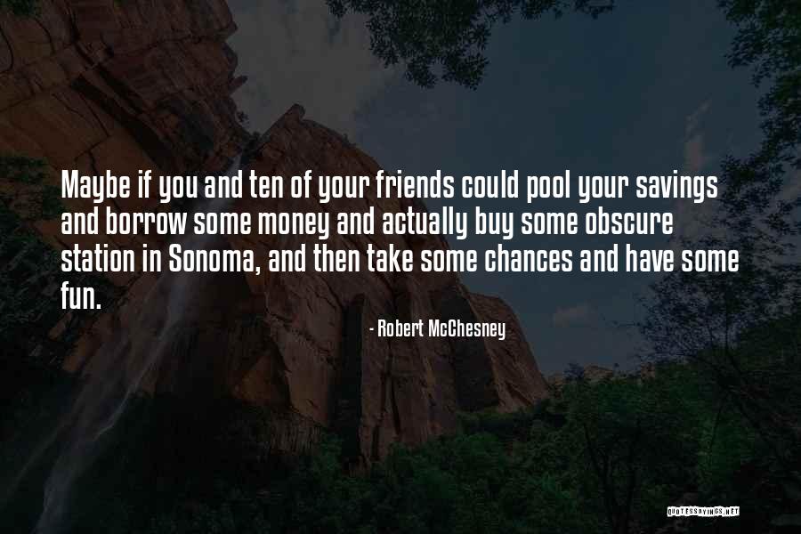 Pool Fun Quotes By Robert McChesney