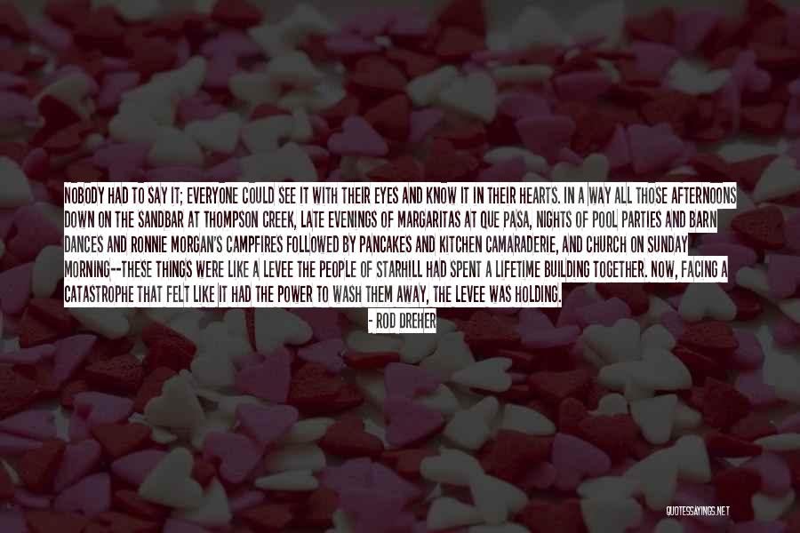 Pool Parties Quotes By Rod Dreher Pool Parties Quotes By Rod Dreher