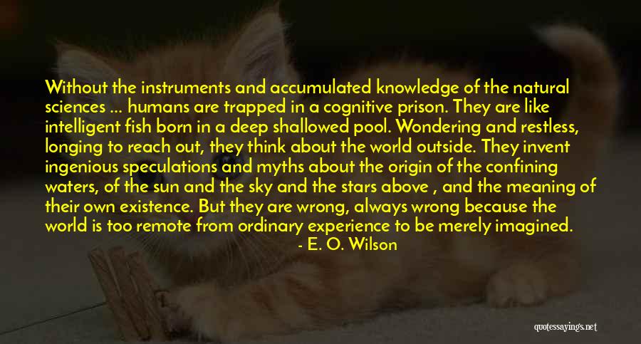 Pool Quotes By E. O. Wilson