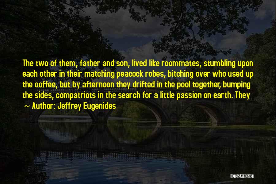 Pool Quotes By Jeffrey Eugenides Pool Quotes By Jeffrey Eugenides