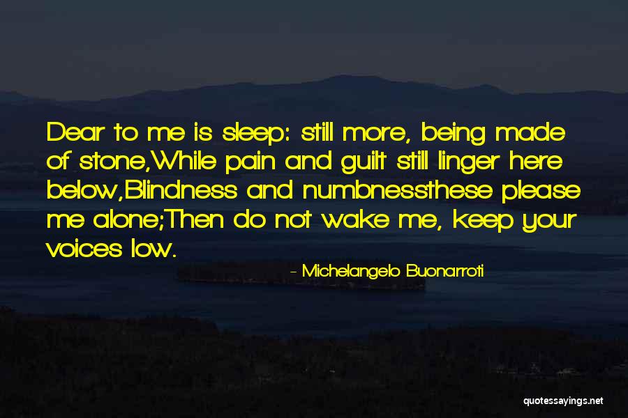 Pooled Income Quotes By Michelangelo Buonarroti Pooled Income Quotes By Michelangelo Buonarroti