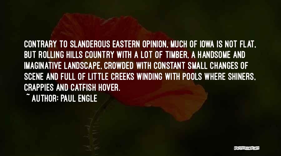 Pools Quotes By Paul Engle