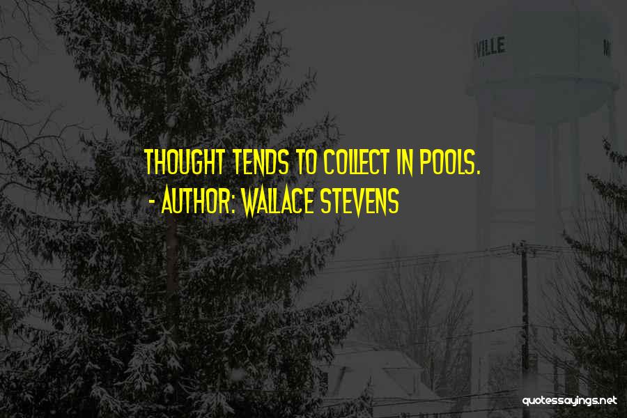 Pools Quotes By Wallace Stevens