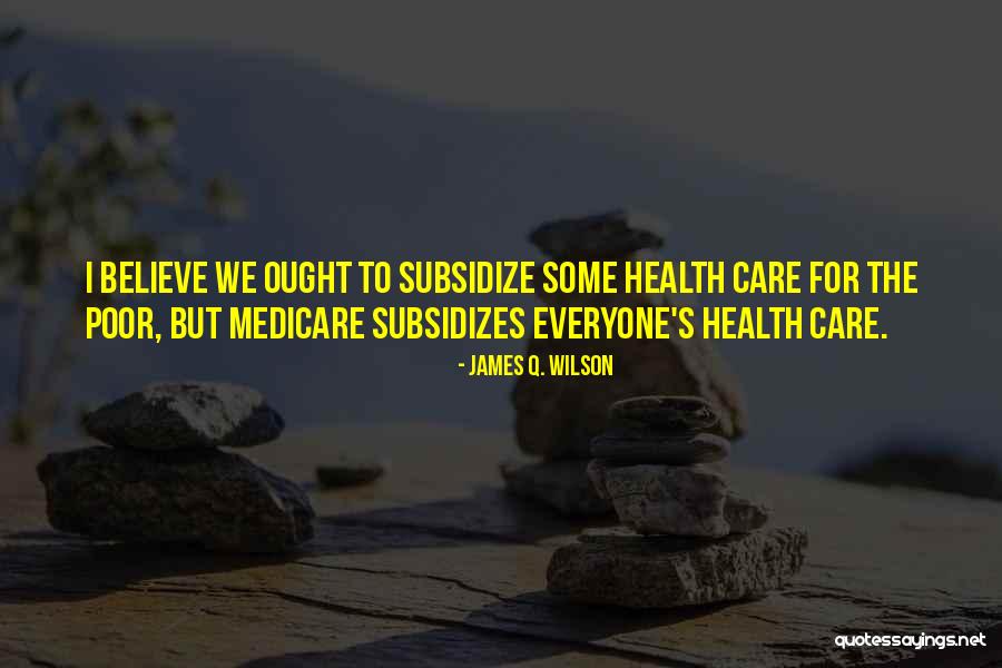 Poor Health Care Quotes By James Q. Wilson