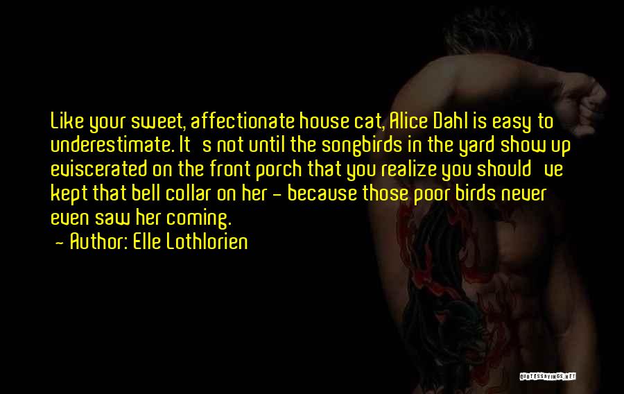 Poor House Quotes By Elle Lothlorien