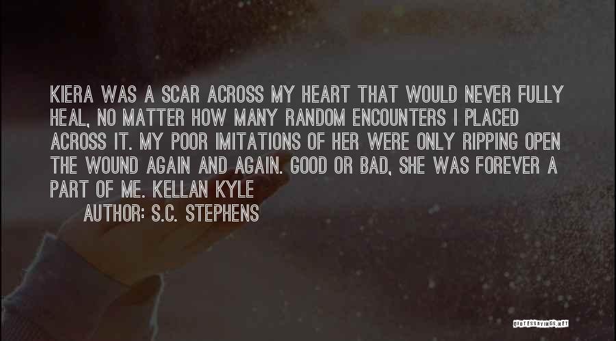 Poor Imitations Quotes By S.C. Stephens