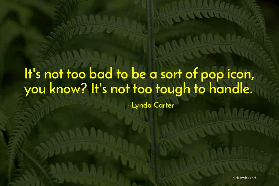 Pop Icon Quotes By Lynda Carter