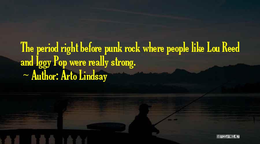 Pop Punk Quotes By Arto Lindsay