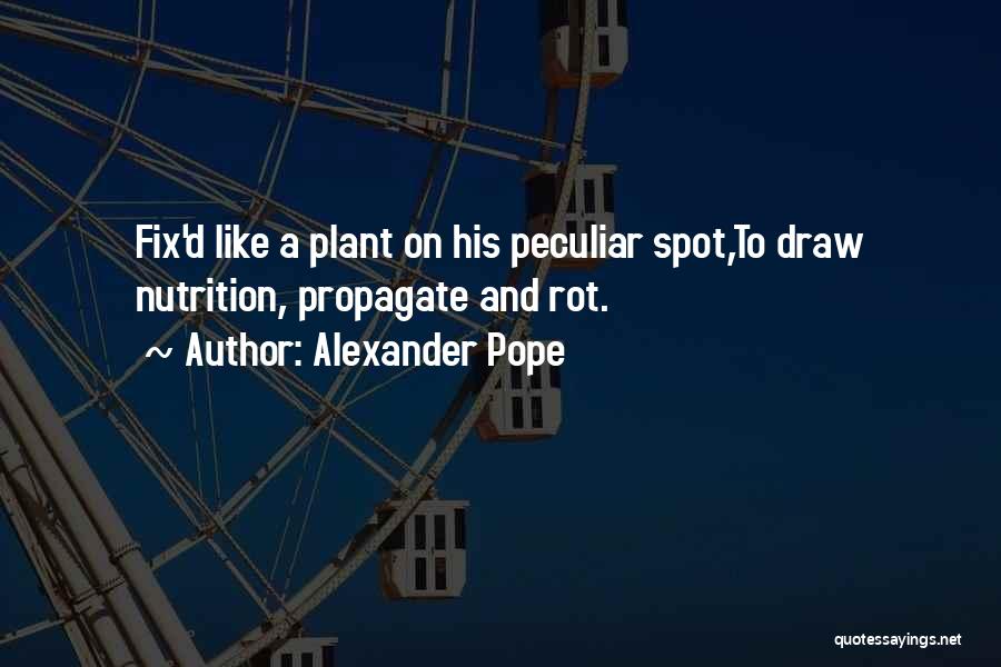 Pope Alexander Quotes By Alexander Pope