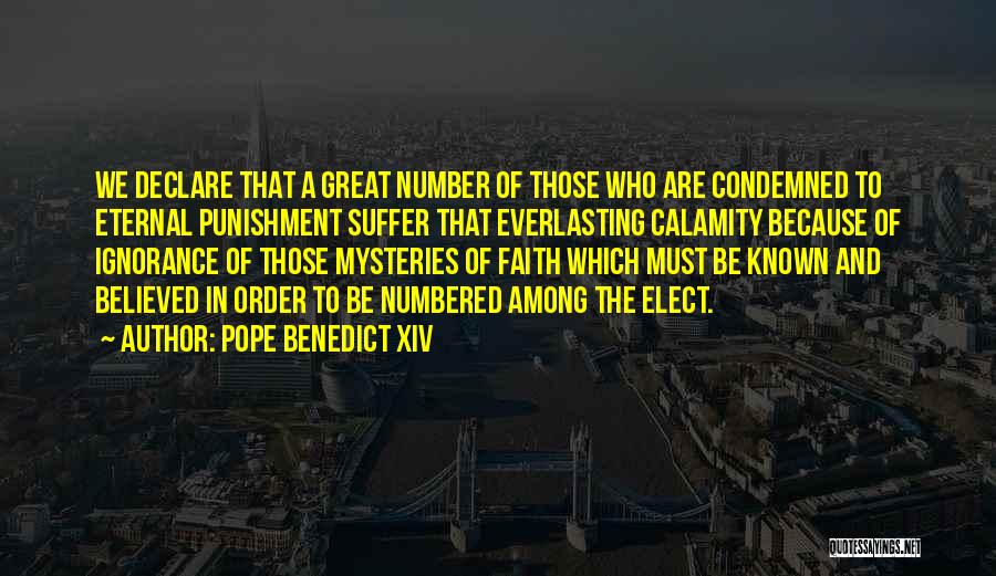Pope Benedict XIV Quotes 1701674