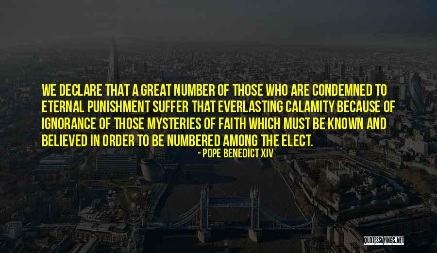 Pope Benedict XIV Quotes 1701674