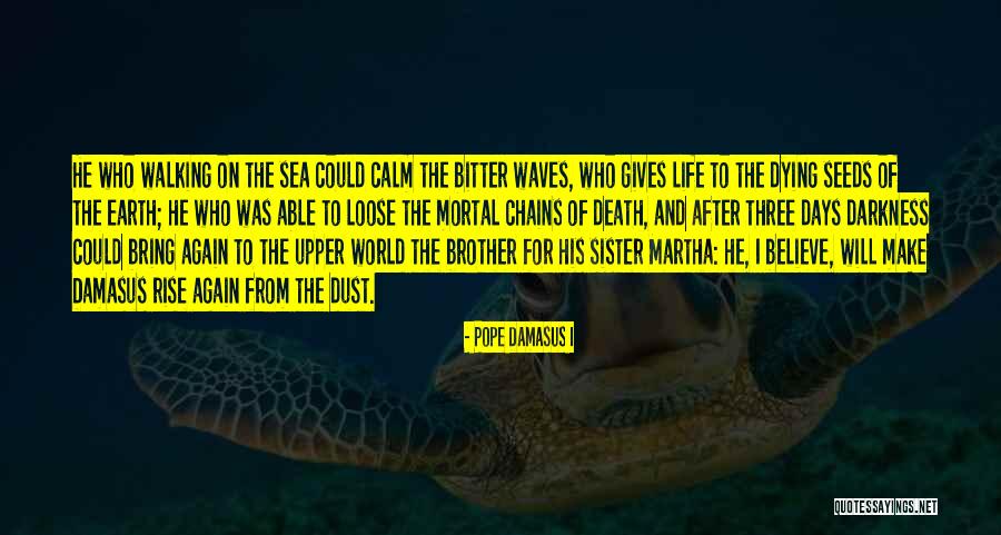 Pope Damasus I Quotes 194441 Pope Damasus I Quotes 194441