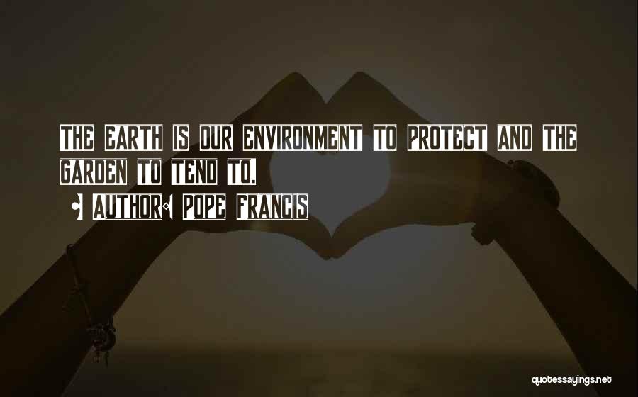 Pope Francis Environment Quotes By Pope Francis