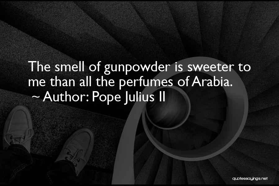 Pope Julius II Quotes 486826