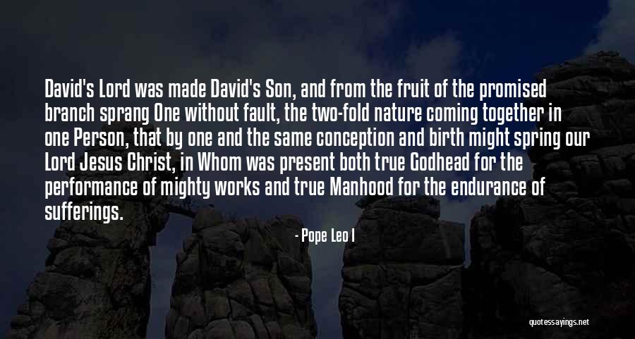 Pope Leo I Quotes 547384 Pope Leo I Quotes 547384