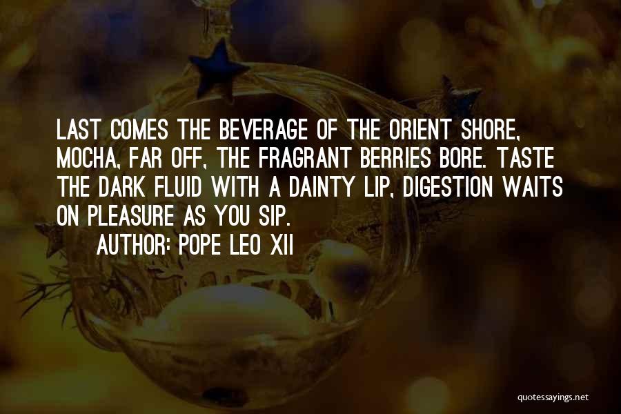 Pope Leo XII Quotes 932890