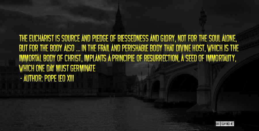 Pope Leo XIII Quotes 1490792